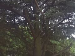 -陕西师范大学(雁塔校区)