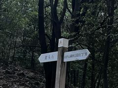 -火炉山森林公园