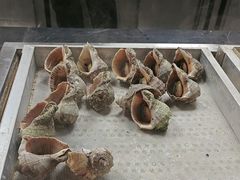 -福禧荟·海鲜自助