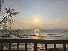-捞渔河湿地公园