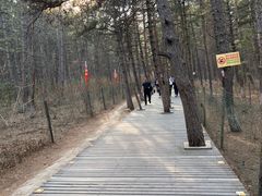 -帽儿山国家森林公园