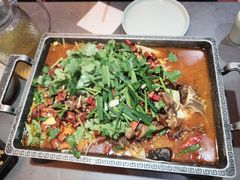 -川芙蓉·市井老川菜(长寿路店)