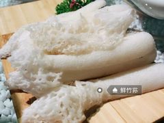 -慢丽江·云南野生菌土鸡锅(付家庄店)