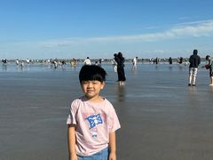 -奉贤海滩