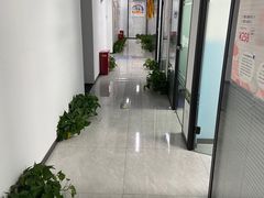 -新航道雅思托福·留学·考研培训(人民广场校区)