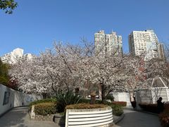 -上海体育场(地铁站)