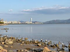 -深圳湾公园(南山区)