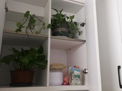 -佰丽爱家全屋定制(汶水店)