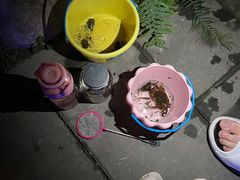 -成都市活水公园