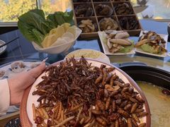 -野菌皇海景野生菌火锅(滨海大道店)