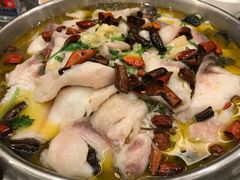 -松花湖水饺(新濠天地店)
