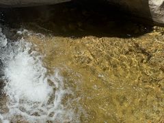 -黑龙潭风景区
