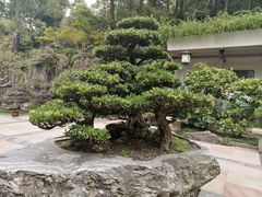 -南山植物园