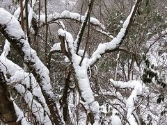 -九峰山