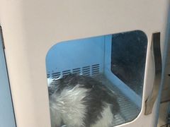 -萌萌喵宠物(百水芊城阅水坊店)