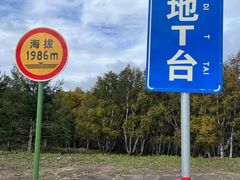 -丰宁坝上草原
