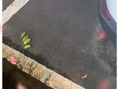 -板桥海鲜广场(文明东店)