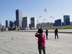 -大连星海广场音乐喷泉