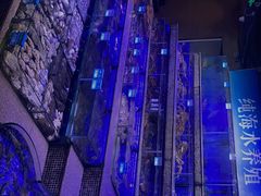 -青蓬蒸汽海鲜·深圳老字号·团建聚会(壹方城店)