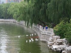 -迎泽公园