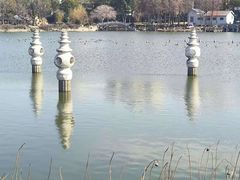 -葛仙湖公园