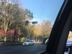 -浙江大学(玉泉校区)