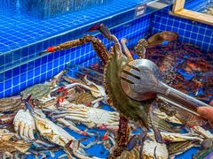 -乔哥铭洋海鲜自助(皇城恒隆广场店)