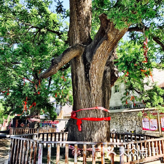 康陵民俗村图片 - 第10张