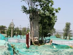 -房山世界地质公园博物馆