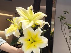 -雲說·花(西宸天街店)