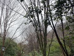 -法云安缦酒店