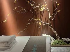 -臻品足道(佛祖岭店)