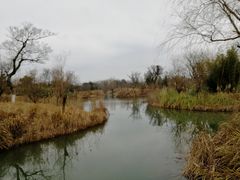-梁鸿国家湿地公园