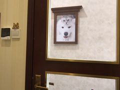 -宠爱国际动物医院· 猫科· 外科·中兽医(长白店)