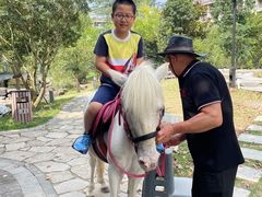 -宁波九龙湖开元度假村
