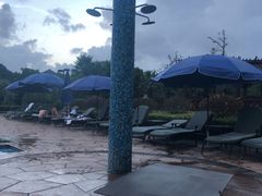 -浦鸿会游泳健身中心·Ambassy Club PD(金桥碧云国际社区店)