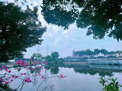 -鹅公村·国家非遗传承(荔湾店)