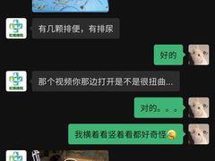 -雨林宠物医院 非犬猫异宠专科