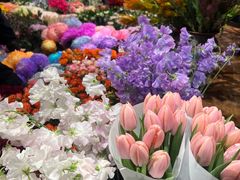 -双季花艺园艺市场(浦东店)