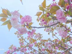 -东流山北京烤鸭·家常菜(南京首店)