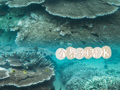 -海南分界洲岛旅游区