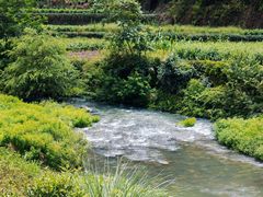 -门溪山居·镜岭味道