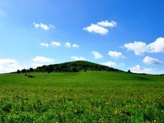 -塞罕坝国家级自然保护区