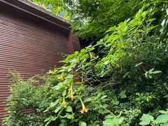 -野象谷景区