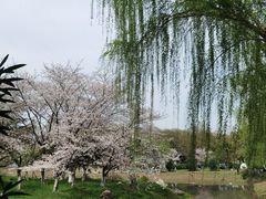 -堤角公园