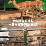 假期来遛娃🎈一起亲近可爱动物们吧😘