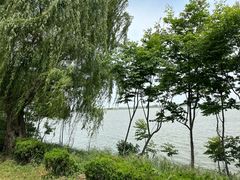 -安徽八里河旅游区