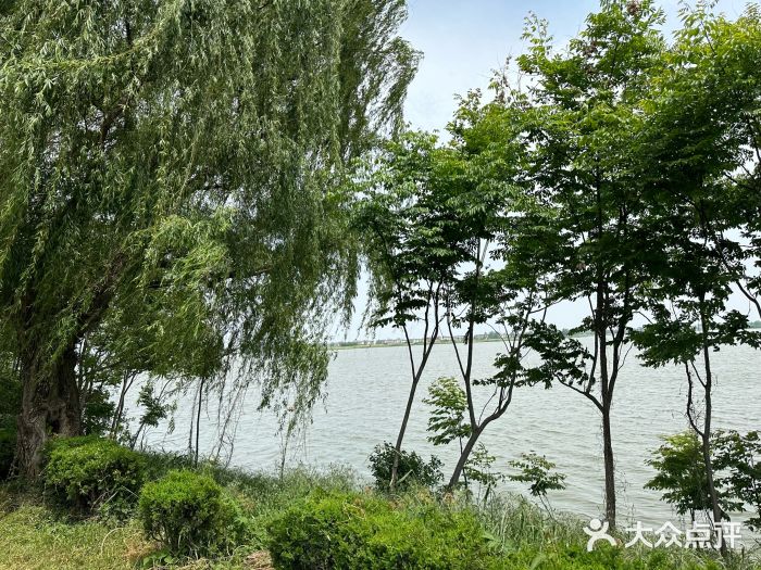 安徽八里河旅游区图片