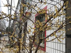 -北京稻香村(第三店)