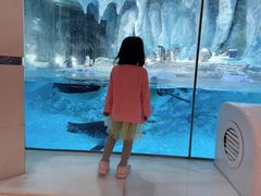 -帝企鹅自助餐厅•儿童岛•真企鹅(长隆企鹅酒店)